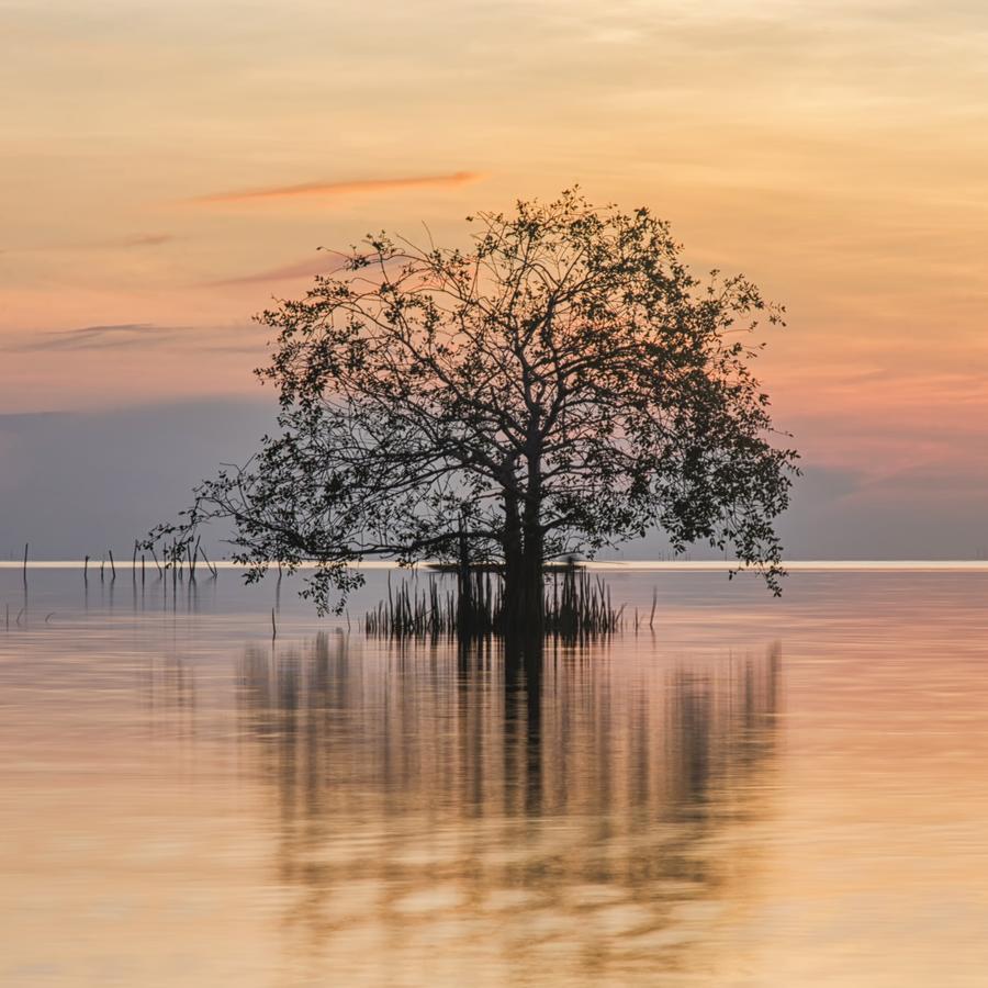 Rimlay Park Resort Phatthalung Luaran gambar